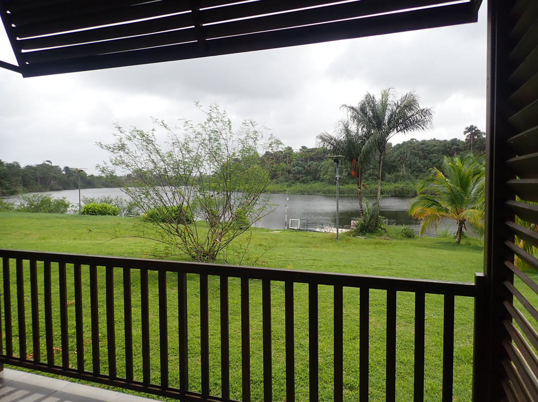 L'oiseau de Paradis主图