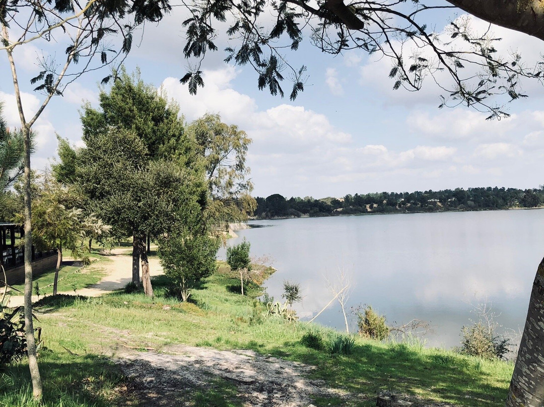 Barragem De Magos景点图片