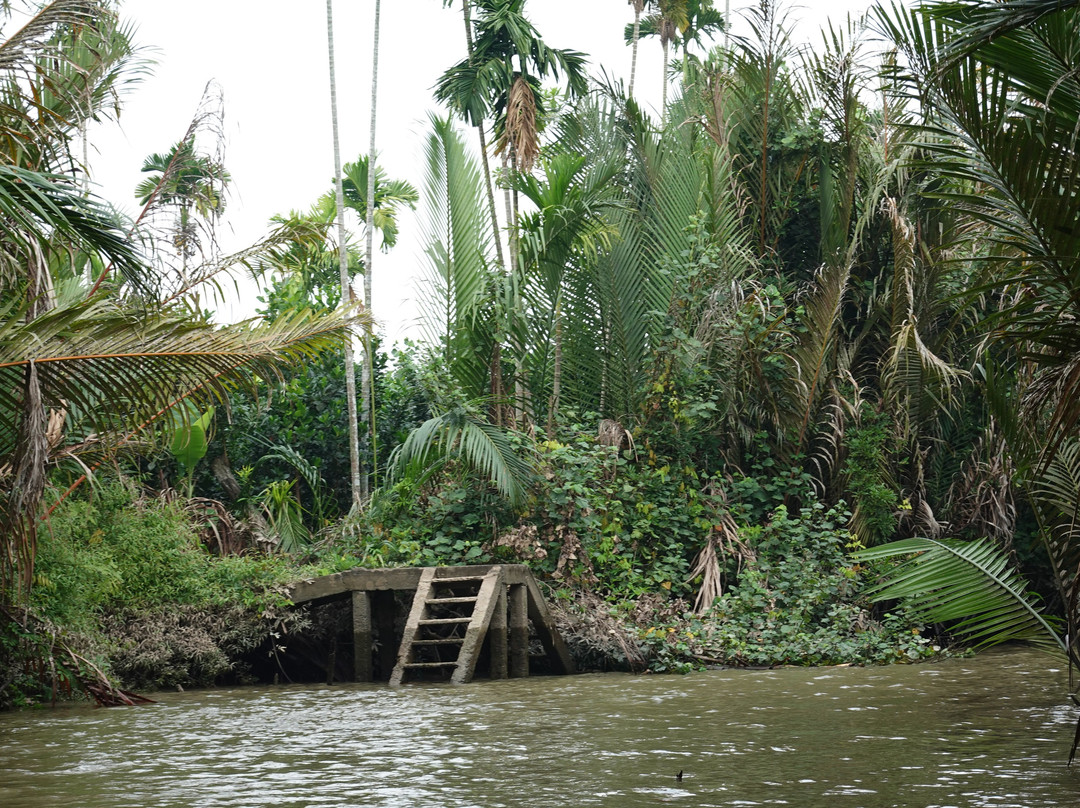 Mekong River景点图片