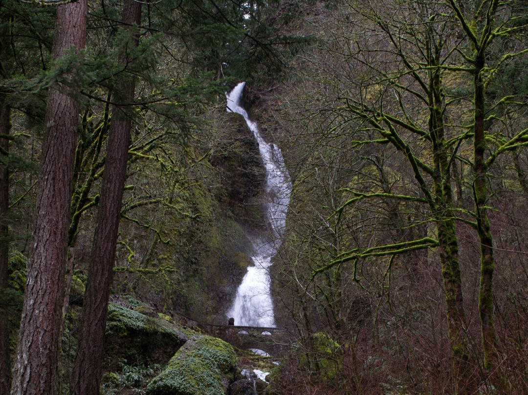 Waterfall Trolley-Corbett必去景点