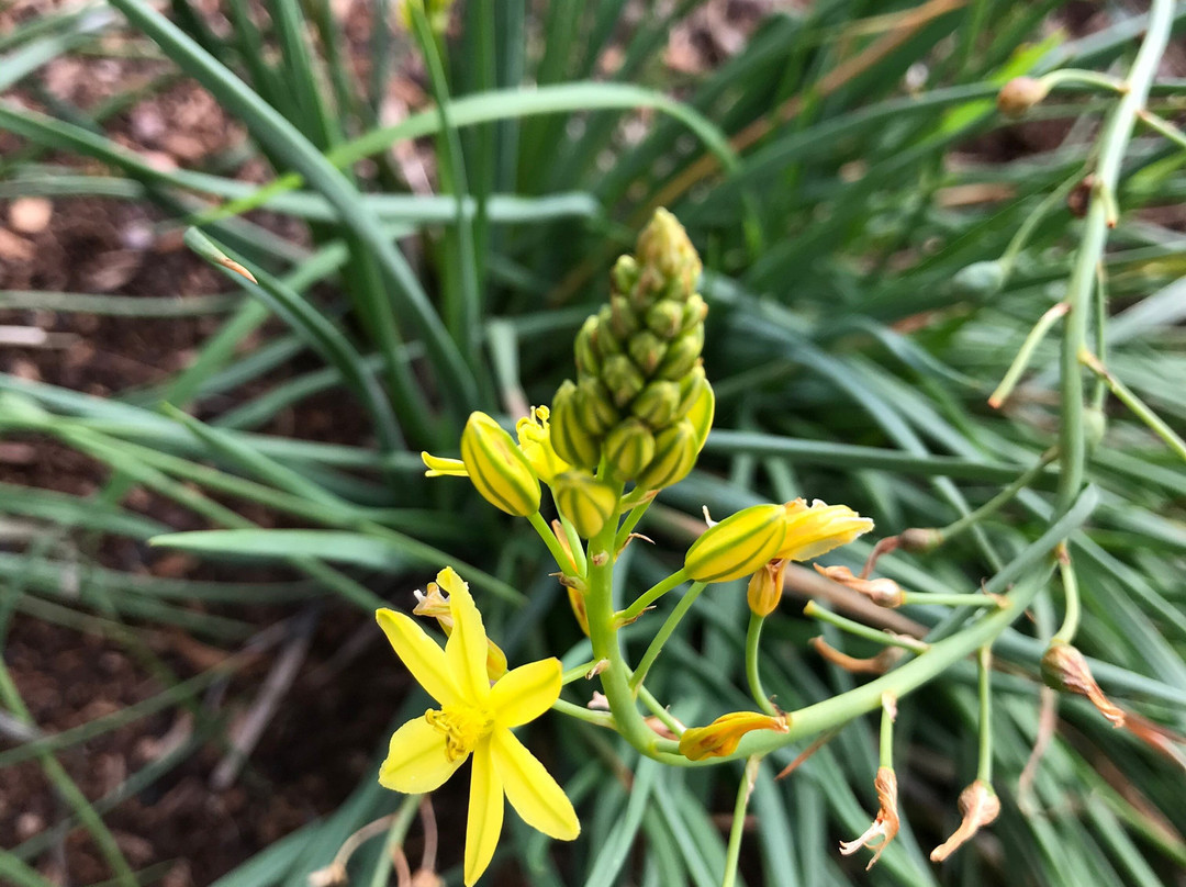 Deloraine Apex Train Park-德洛兰恩必去景点