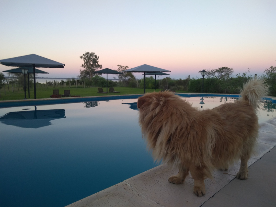 Brisas del Lago主图