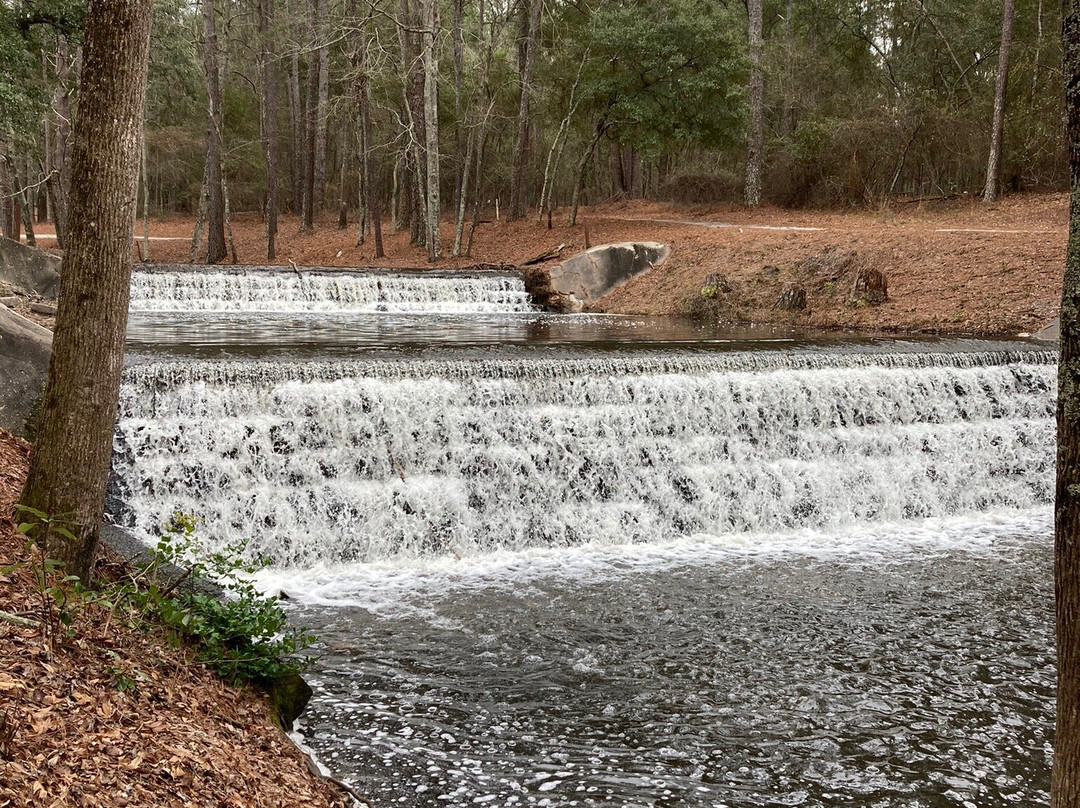 Sesquicentennial State Park-哥伦比亚必去景点