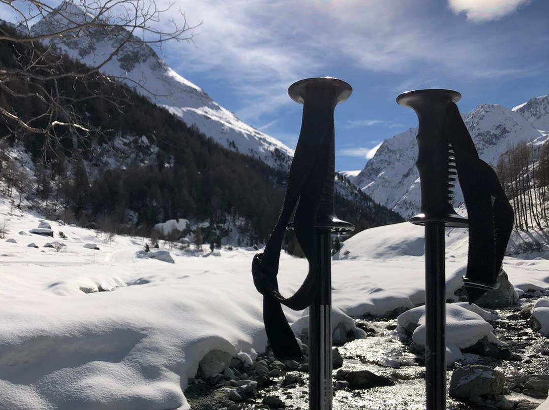 Pension Du Lac Bleu主图