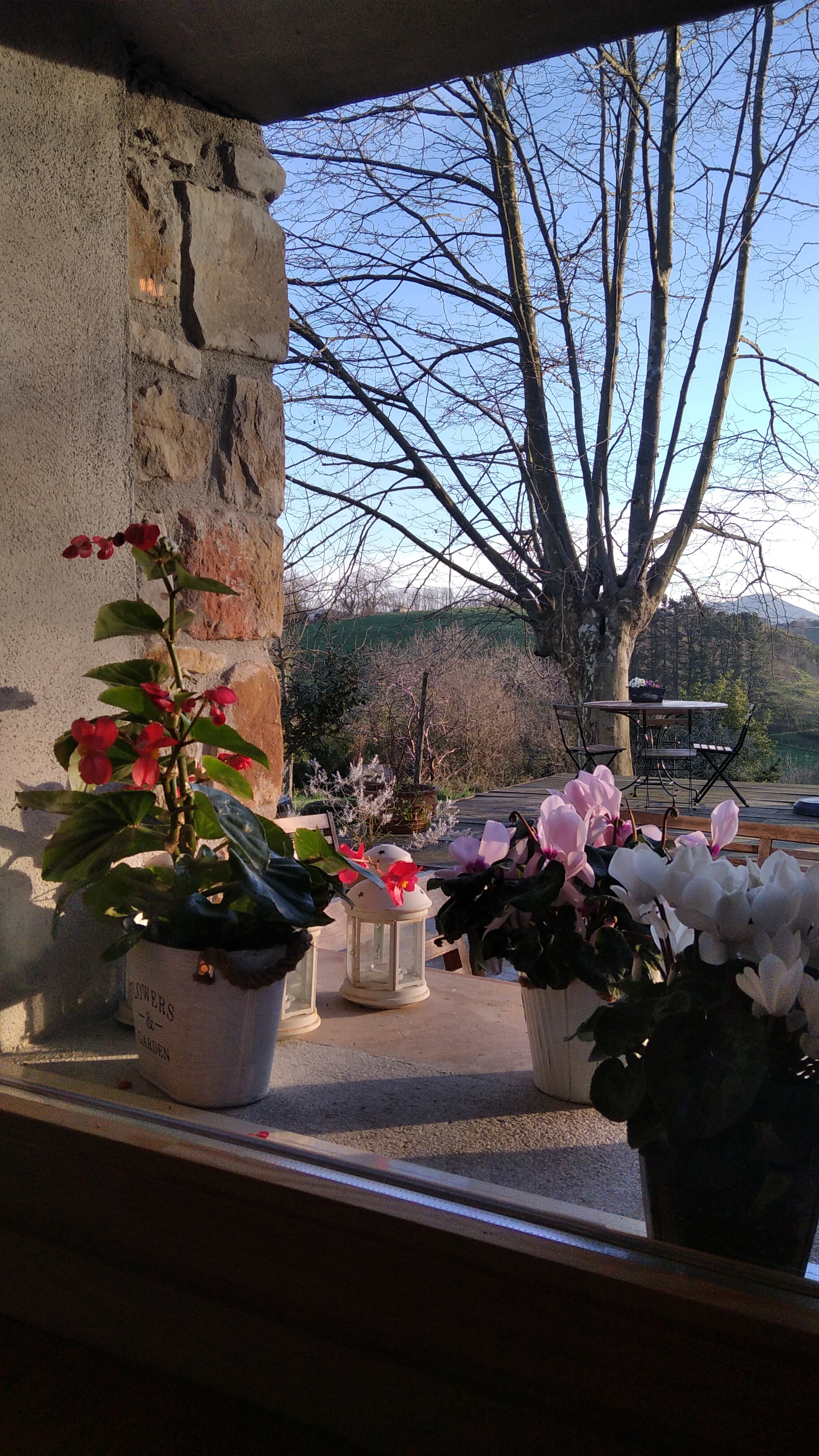 Heredad de Unanue-餐饮