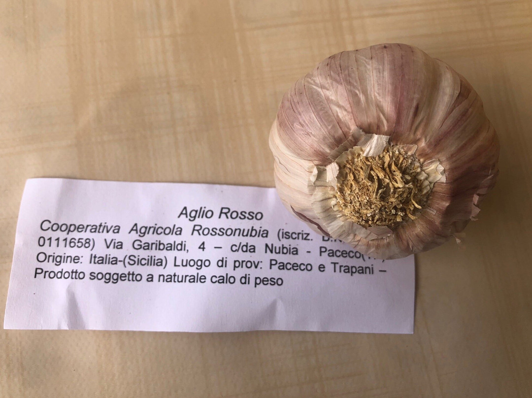 Museo del Sale-Nubia必去景点