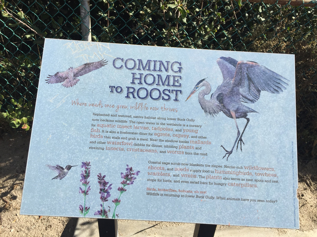 Little Corona Beach-科罗纳戴尔马尔必去景点