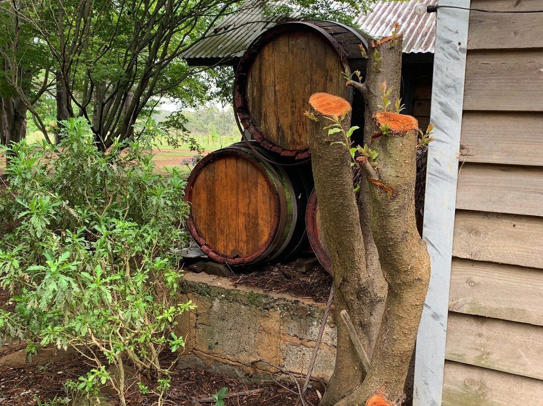 Joadja Vineyard-Berrima必去景点