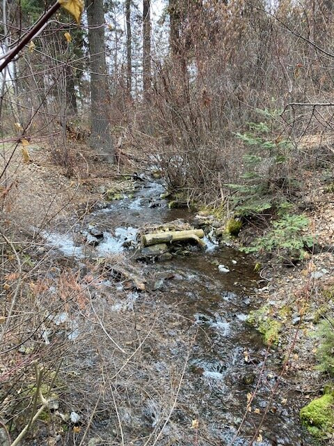 Yellow Bay / Flathead Lake State Park景点图片