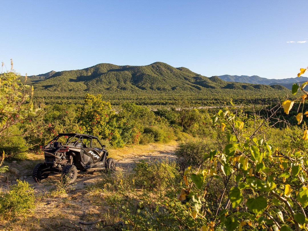 Baja Rock Pirates Backcountry Adventures景点图片