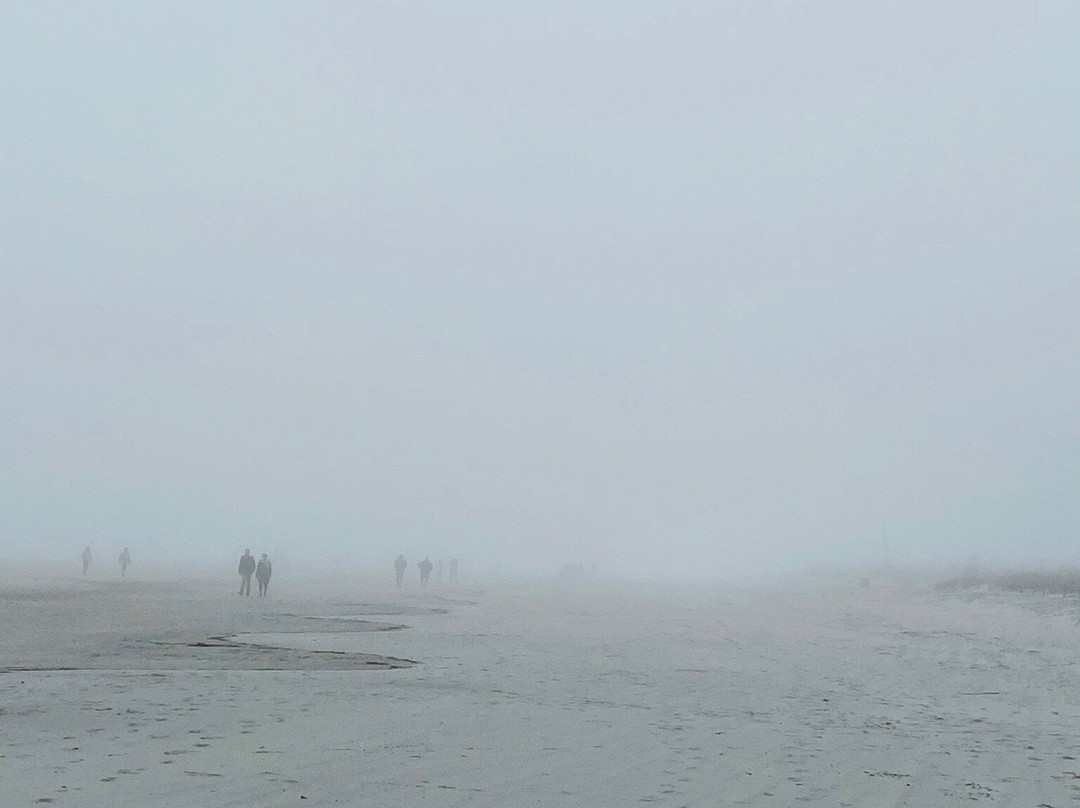 Driessen Beach Park景点图片