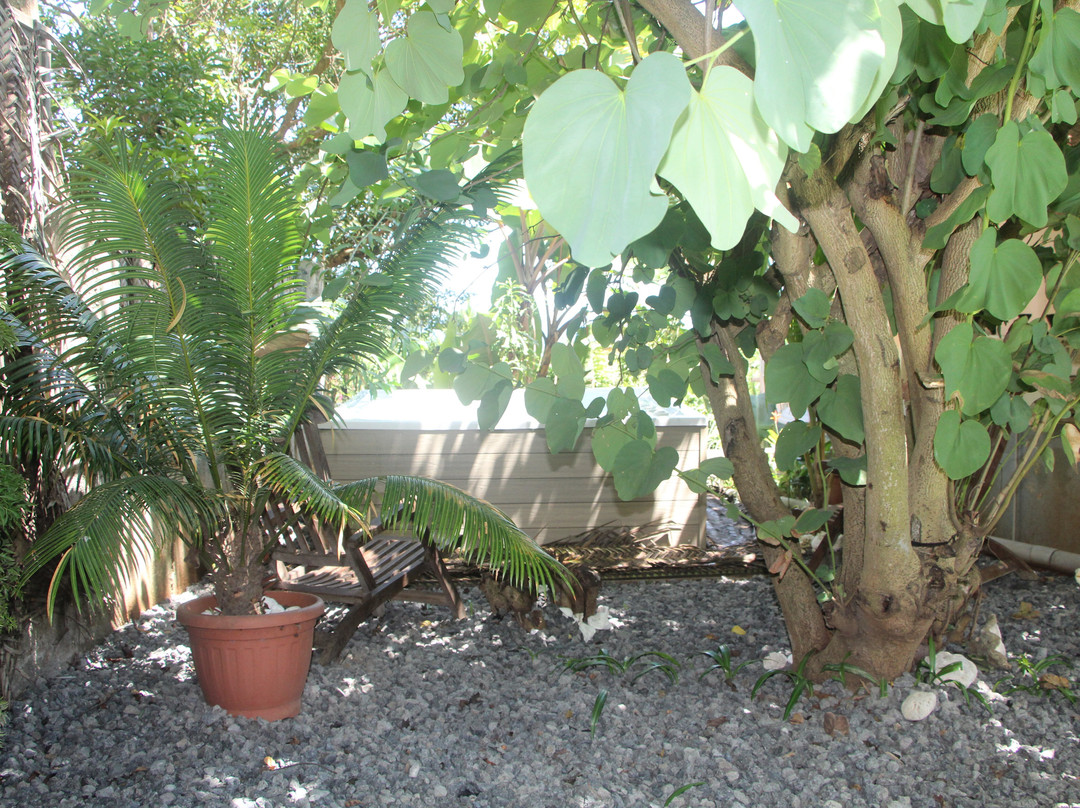 Le Lodge de l'Avocatier主图