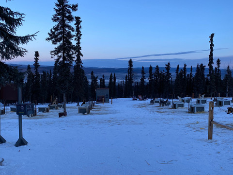 Black Spruce Dog Sledding-费尔班克斯必去景点