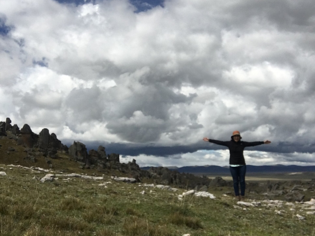 Bosque de piedras de Huayllay-Cerro de Pasco必去景点