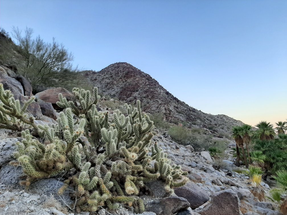 Canon de Guadalupe-Mexicali必去景点