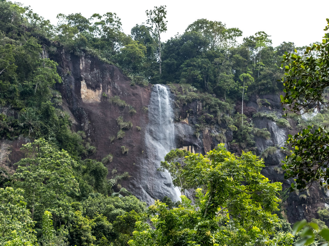 Kingdom Secret主图