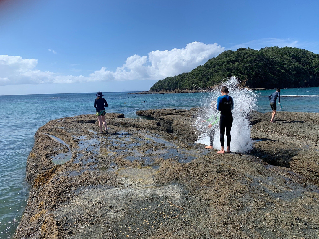 Goat Island Marine Reserve-瓦卡沃夫必去景点