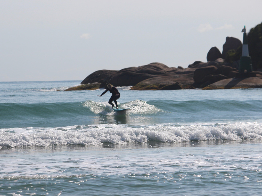Sea Wolf Surf School-弗洛里亚诺波利斯必去景点