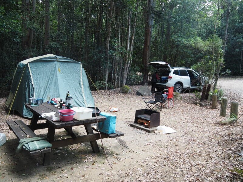 Washpool National Park景点图片