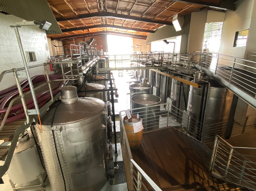 Bimbadgen Winery景点图片