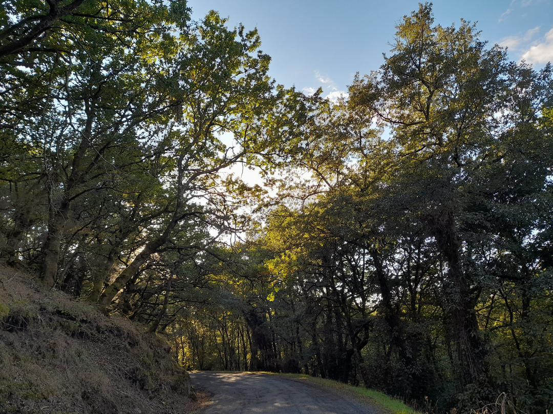 Rectoral de Romean主图