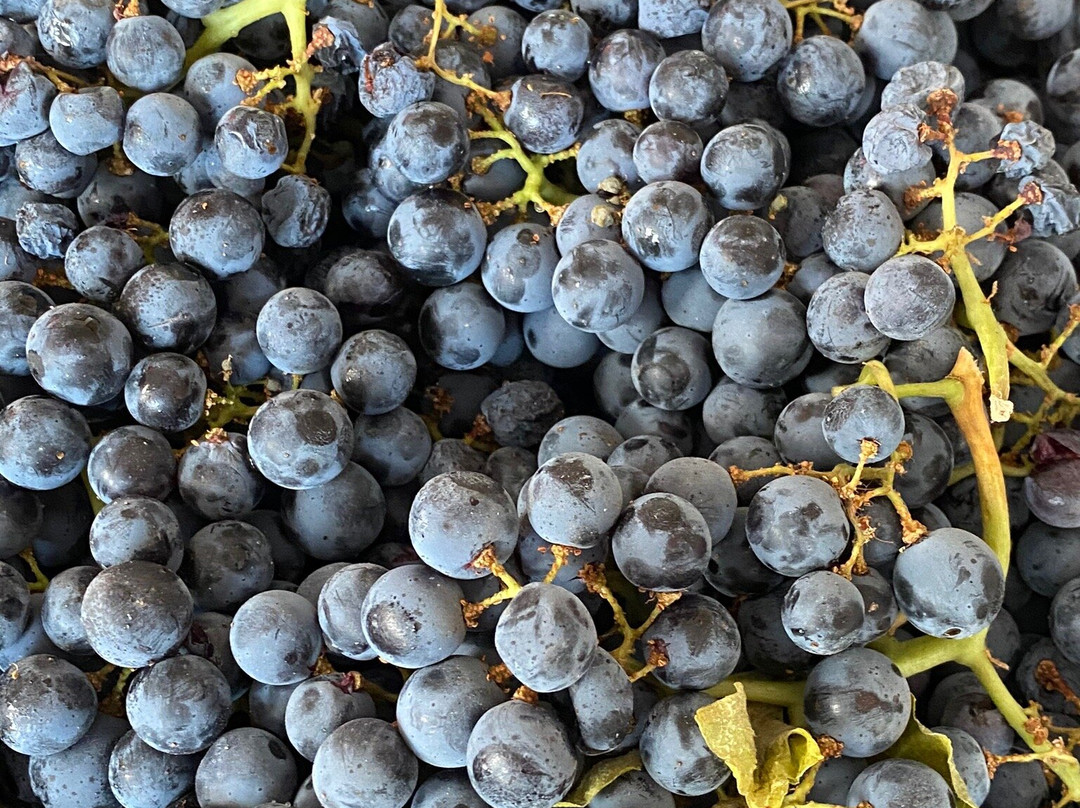 Seven Birches Winery-林肯必去景点