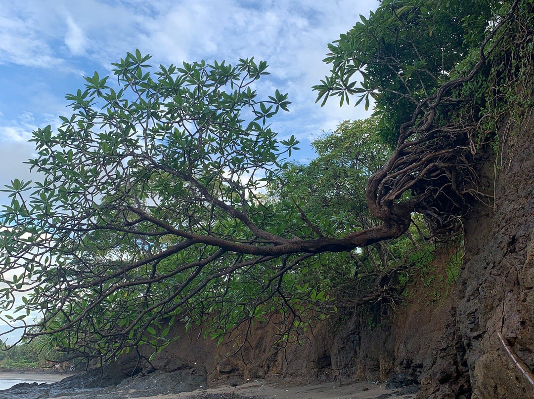 Hotel Sol y Mar主图