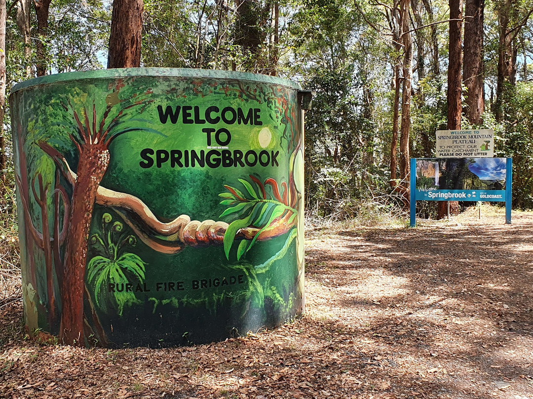 Welcome to Springbrook Watertank Art & Winburn Lookout景点图片