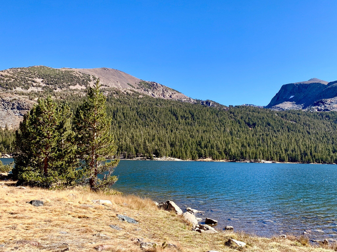 Tioga Lake-利韦宁必去景点