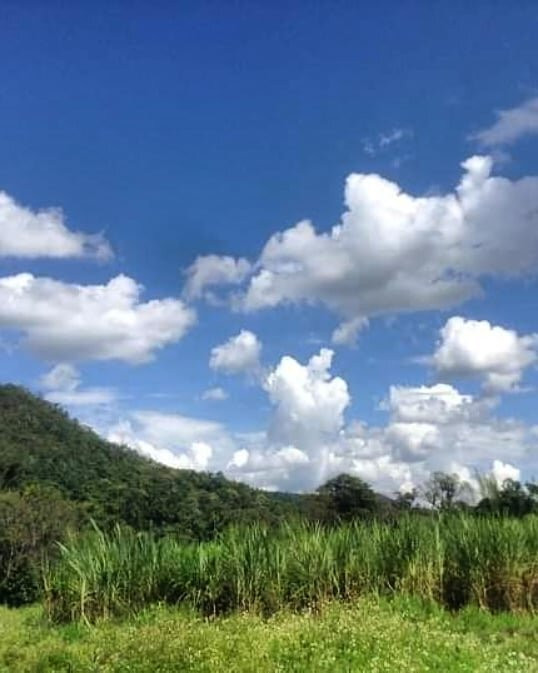 Chiangmai Elephant Home-清迈必去景点