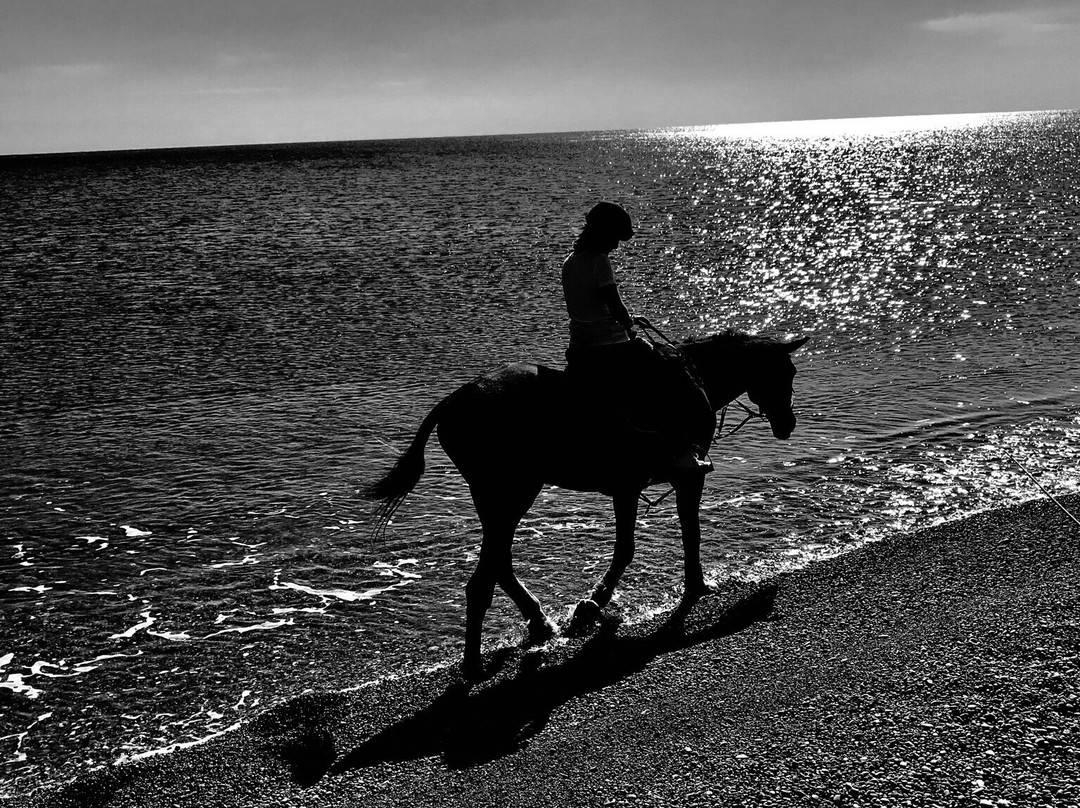 Horse Riding To The Beach-罗德城必去景点