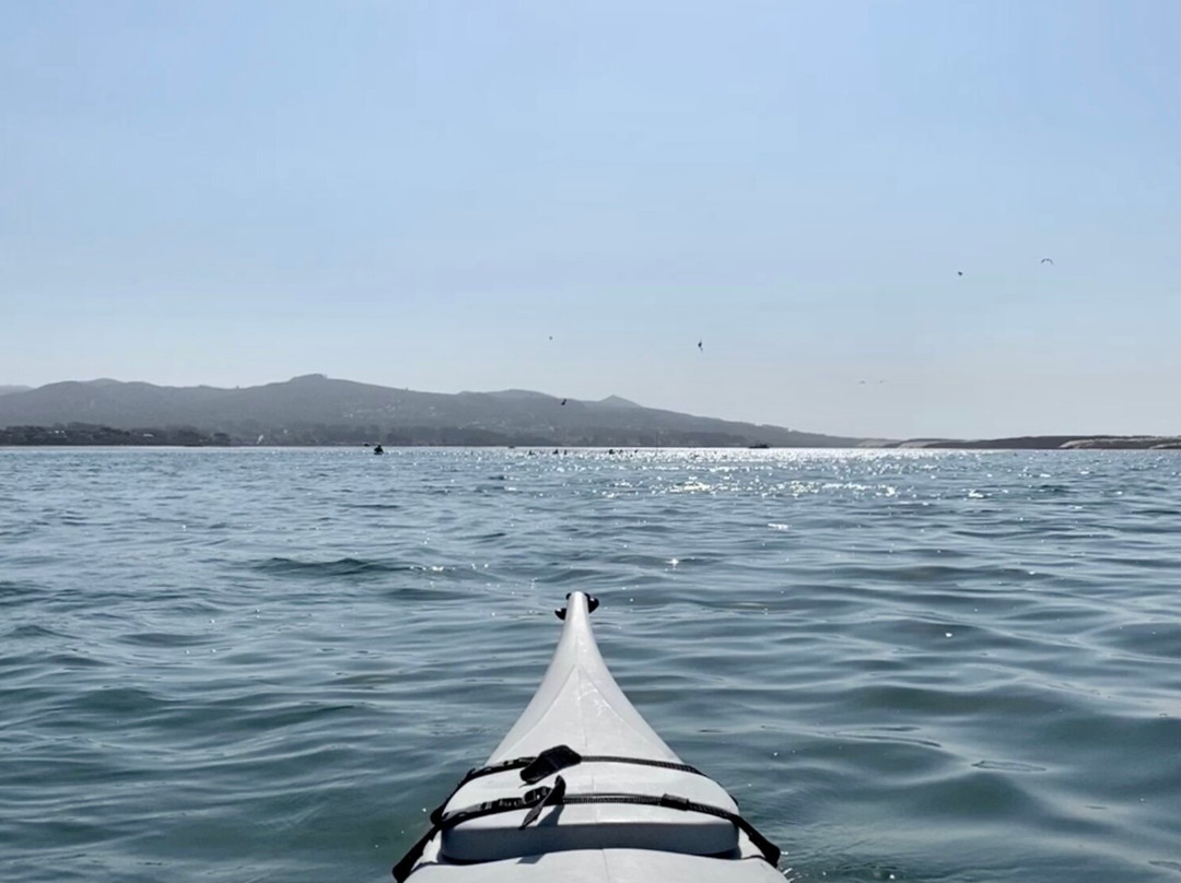 Kayak Shack景点图片