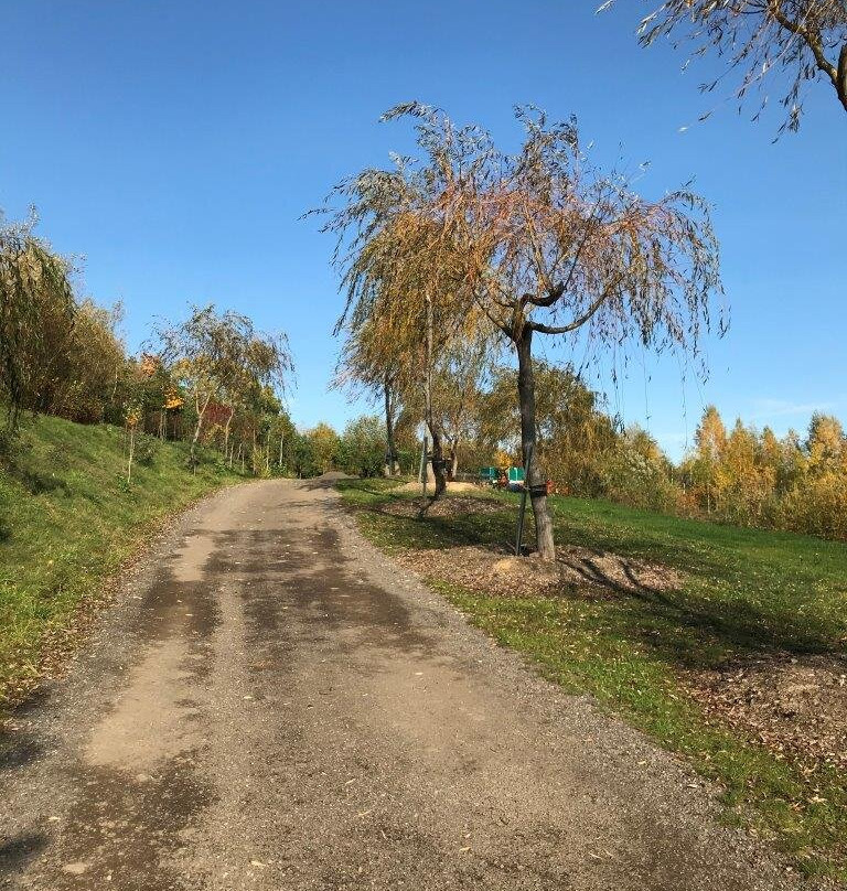 Sonnenlandpark景点图片