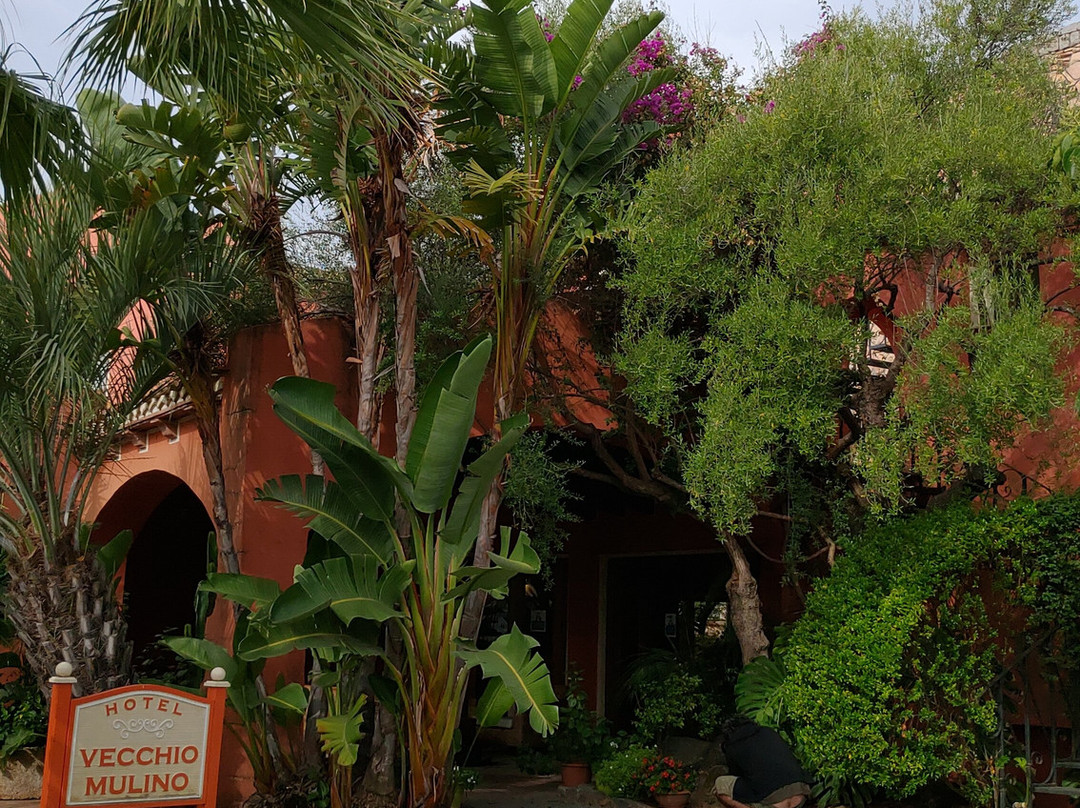 Hotel Il Vecchio Mulino主图
