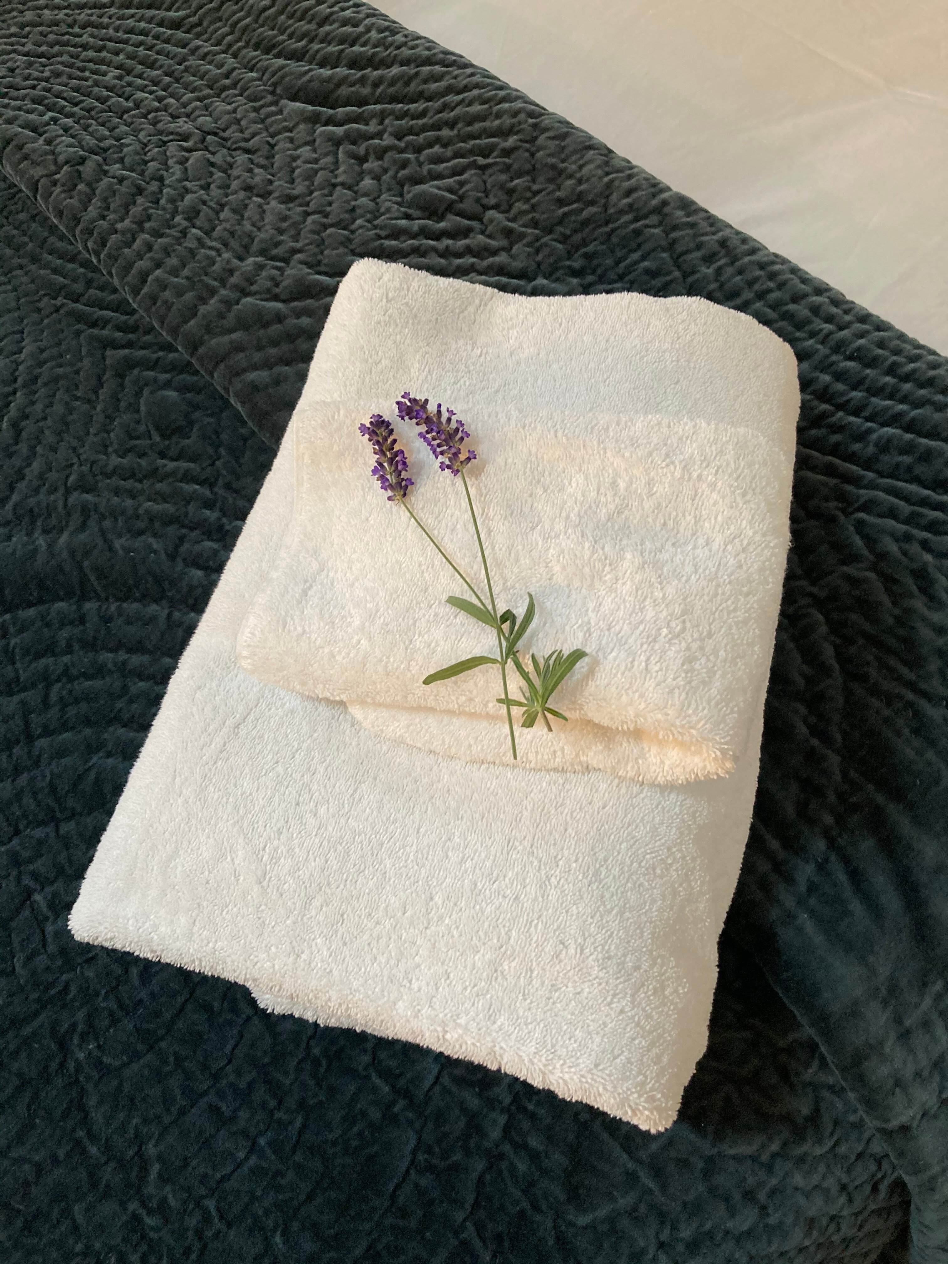 Montys Accommodation Lewes-官方