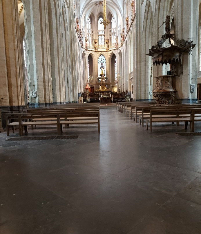 St-Martin's Basilica-哈勒必去景点