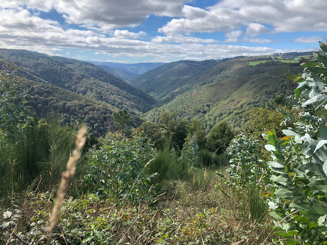 Complejo O Pineiral主图