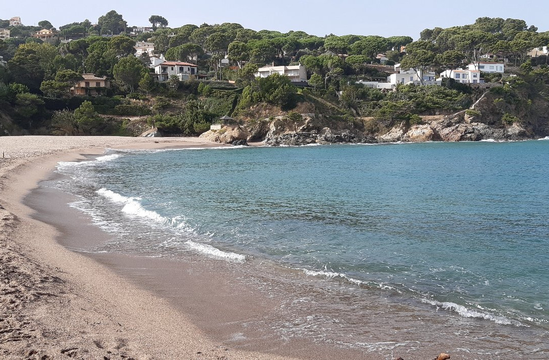 Playa Sa Riera景点图片