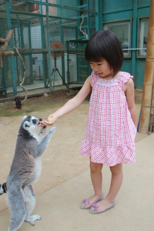 Tohoku Safari Park-二松本市必去景点