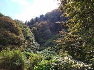 Conca dei Rododendri景点图片