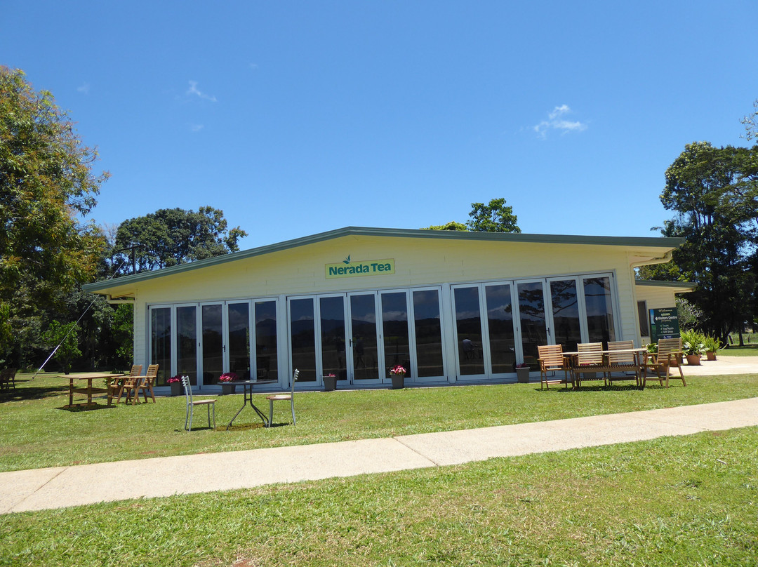 Nerada Tea Plantation-马兰达必去景点