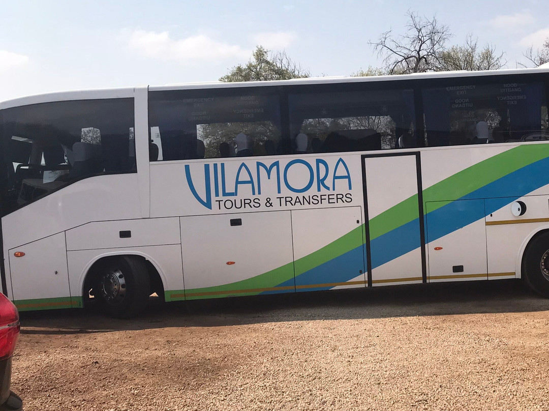 Lion Walk Safari-Brits必去景点