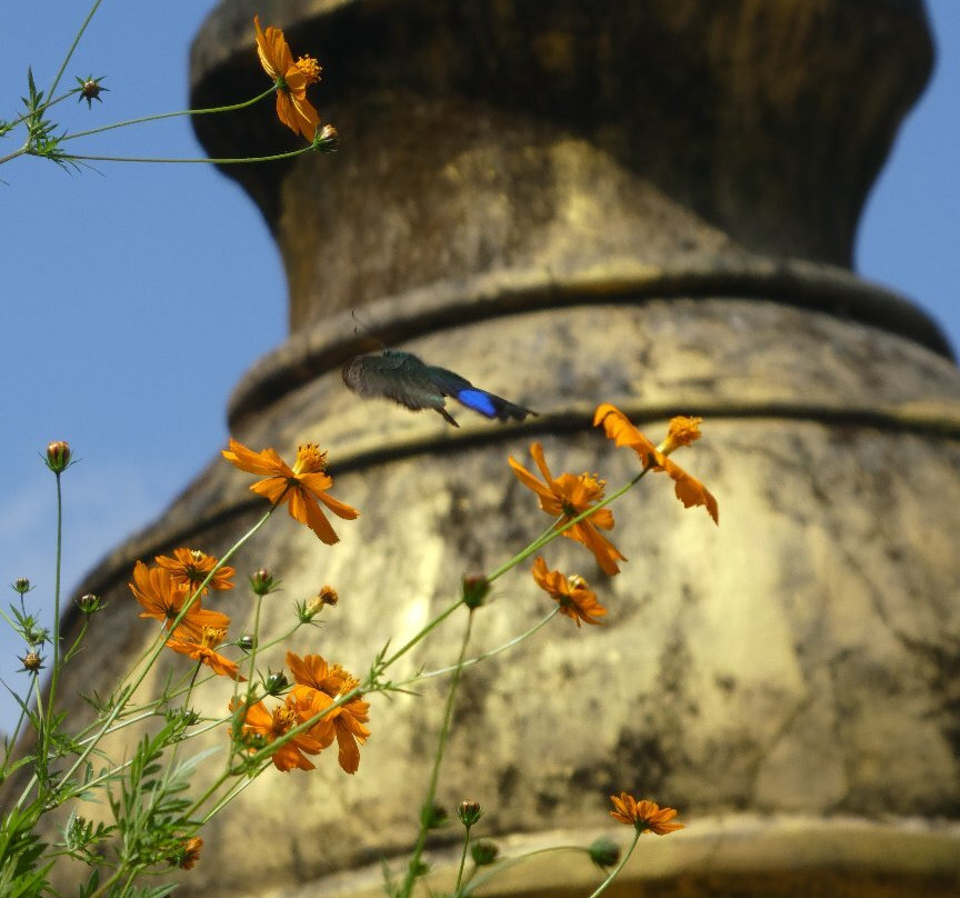 Tansen View Tower-丹森必去景点