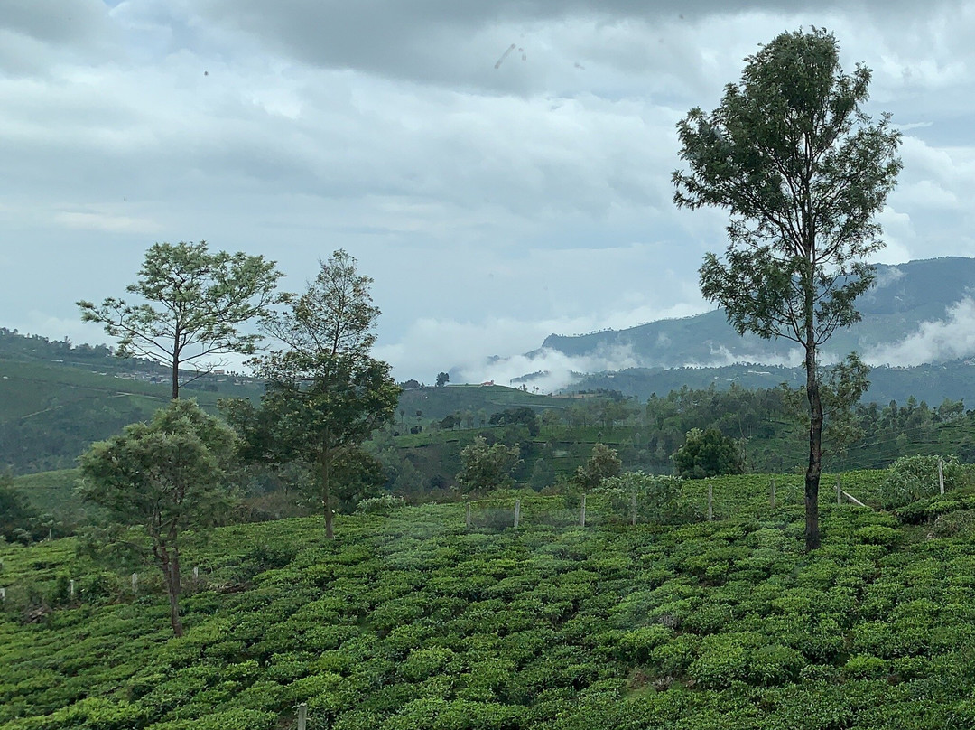 Oak n Tea's Villa主图