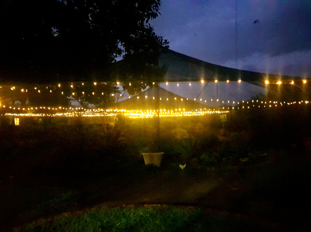 Rose & Ivy Guesthouse主图