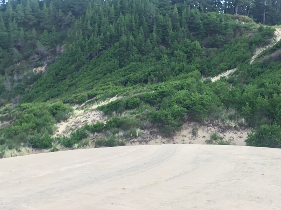 Cape Kiwanda State Natural Area-太平洋城必去景点