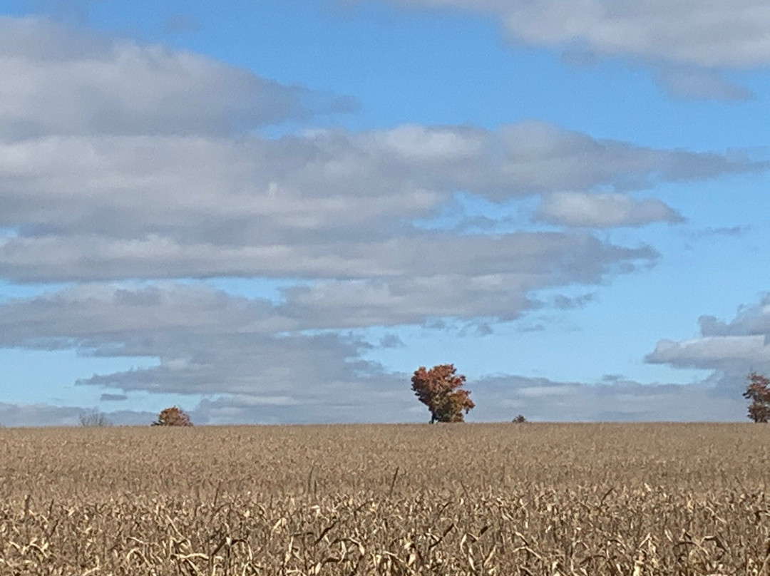 Elora Cataract Trailway-伊劳拉必去景点