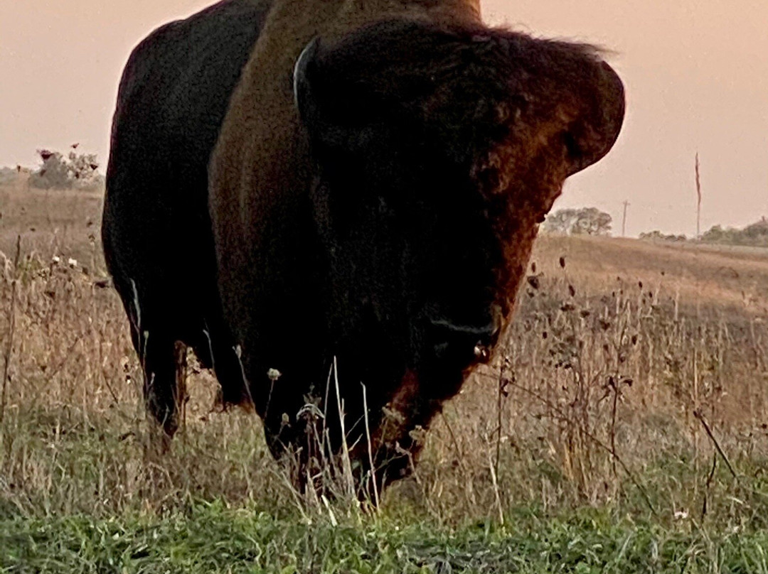 Neal Smith National Wildlife Refuge and Prairie Learning Center-Prairie City必去景点