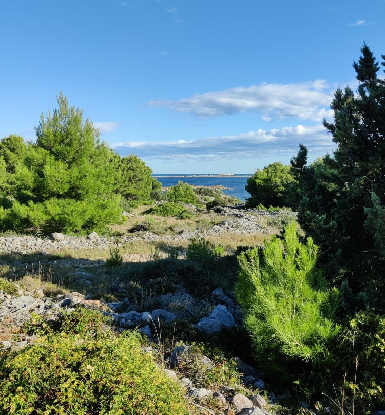 Leucate Evasion Marine-Leucate必去景点
