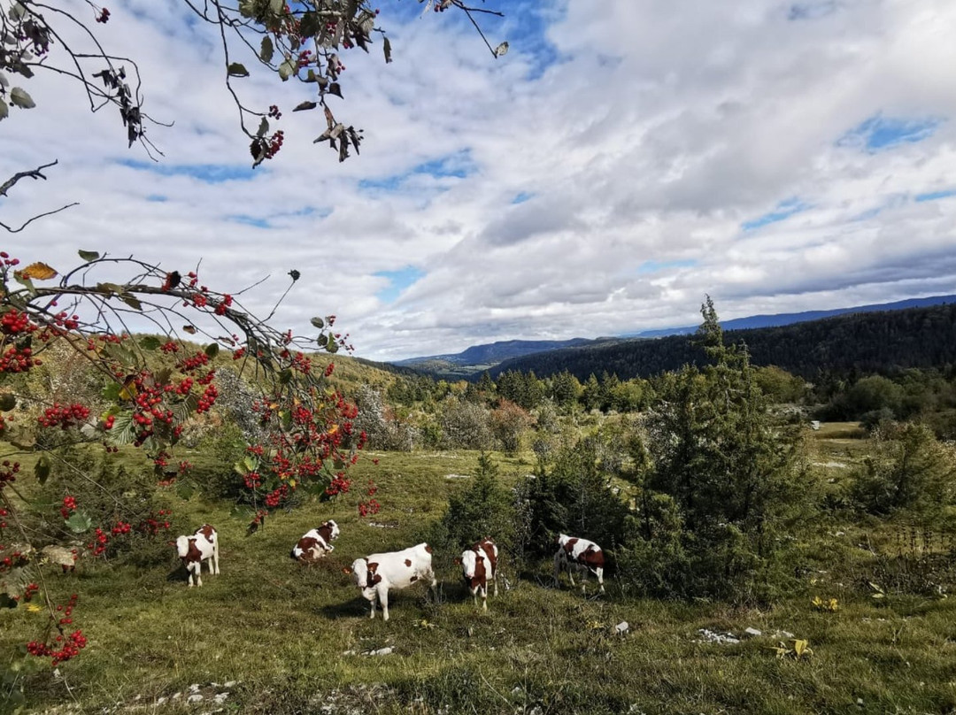 Pic de l'Aigle-La Chaux-du-Dombief必去景点